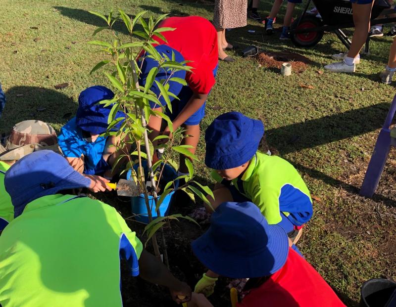 Tree planting by Yr 3/4