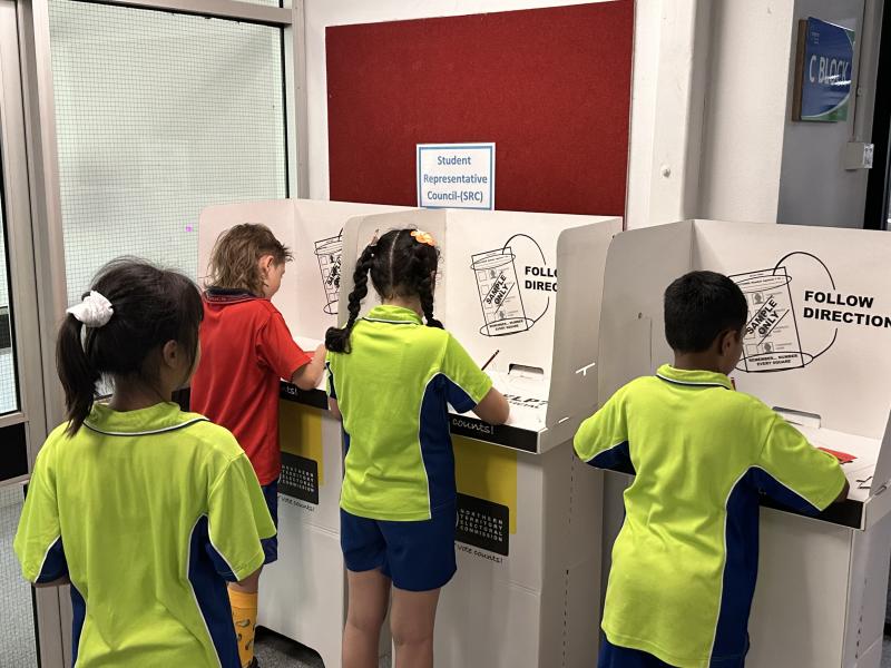 voting